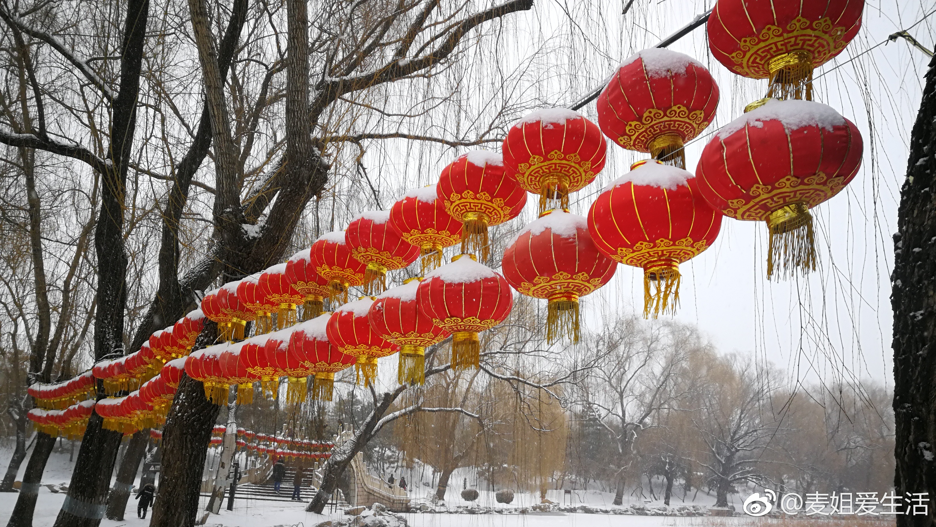 16日北方降雪再次上线年味尚未退去飞雪更添喜庆来欣赏雪景美照