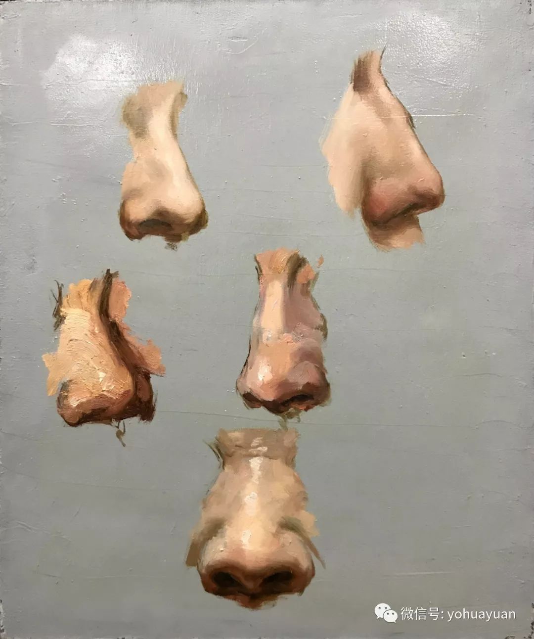 油画鼻子的画法步骤图图片