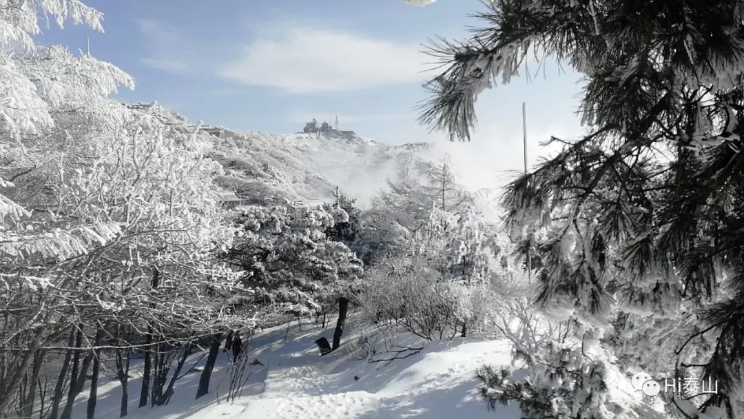 最美不过泰山雪