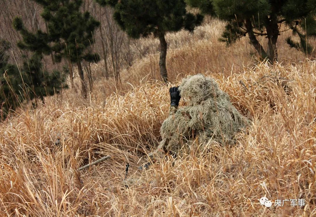 海軍陸戰隊某旅狙擊手集訓獵人對決荒野爭鋒