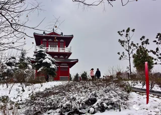 美哭！一场大雪后驻马店居然变成了童话世界