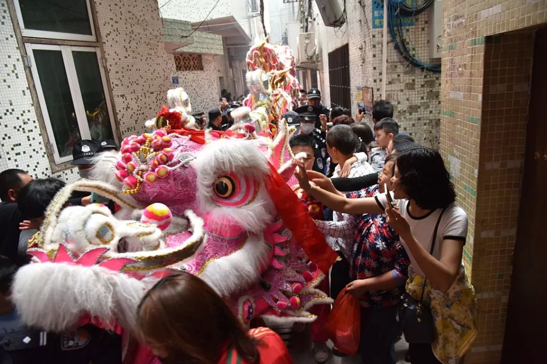 下午1时许,巡游队伍齐集于左边村门口前摆会,21头醒狮和3条彩龙再次