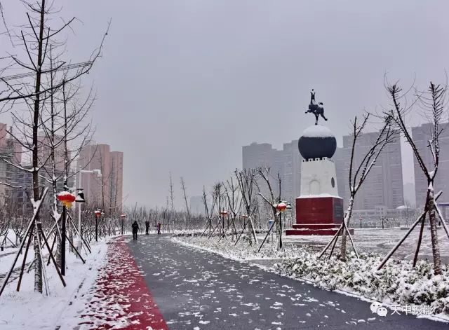 美哭！一场大雪后驻马店居然变成了童话世界