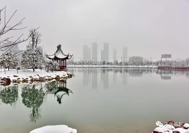 美哭！一场大雪后驻马店居然变成了童话世界