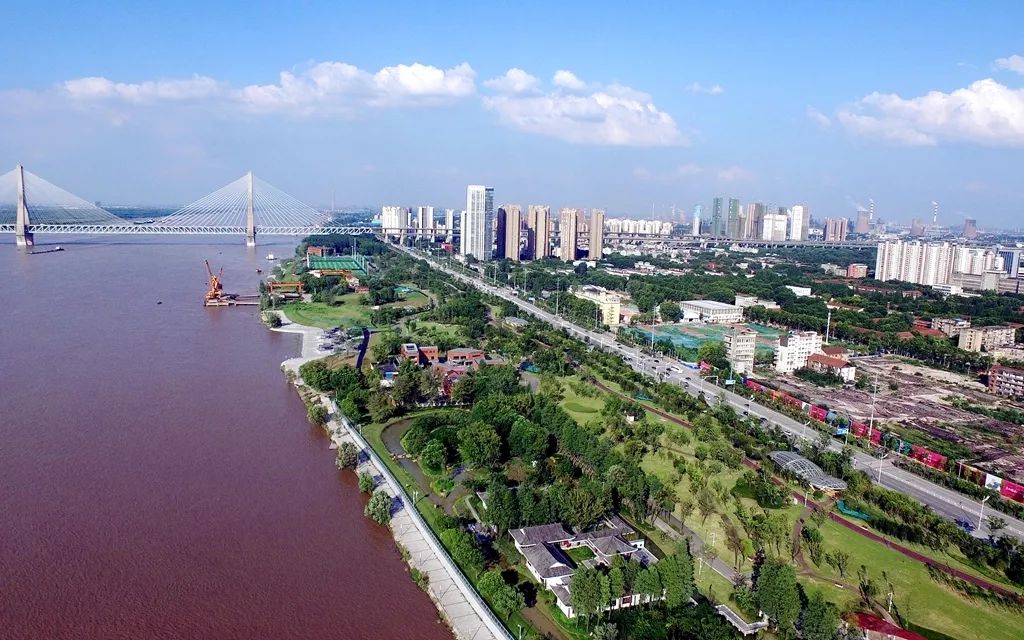 武青堤(鐵機路—武豐閘)堤防江灘綜合整治園林景觀工程(青山段)項目