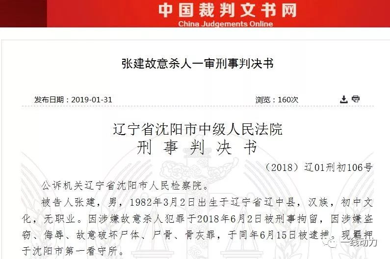 沈阳战神张健事迹图片