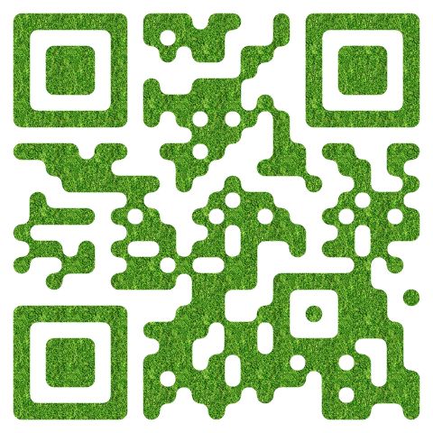 绿色健康码扫码图案图片