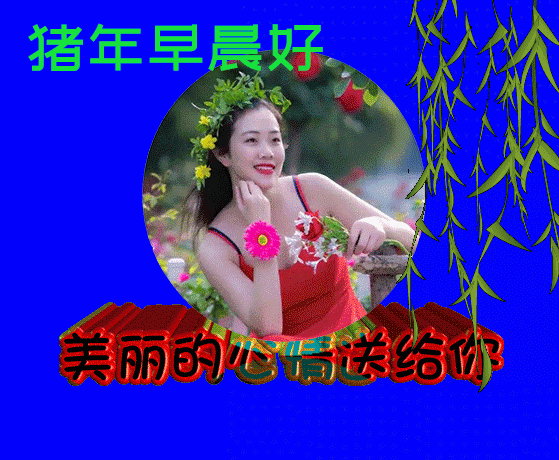 早上好祝福语图片大全早上好表情动态