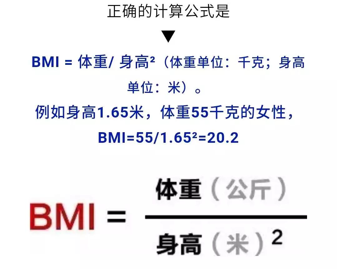 bmi计算公式 女性图片