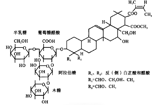 茶皂素化学结构70杀菌作用茶麸水的杀菌作用得益于茶皂素良好的抗菌