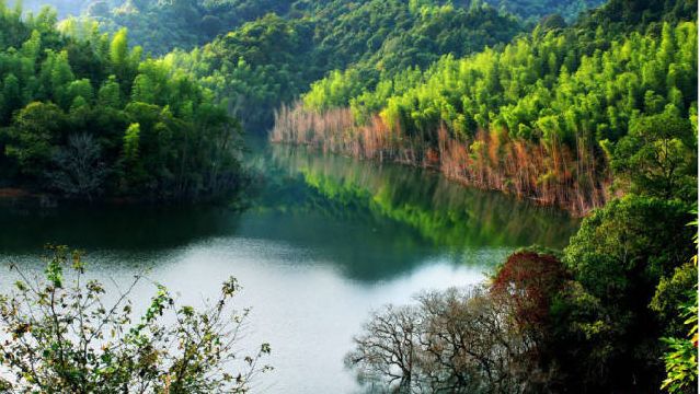 2019年2月24中國最長的景觀索橋資溪九龍湖一日遊嗨程卡免門票