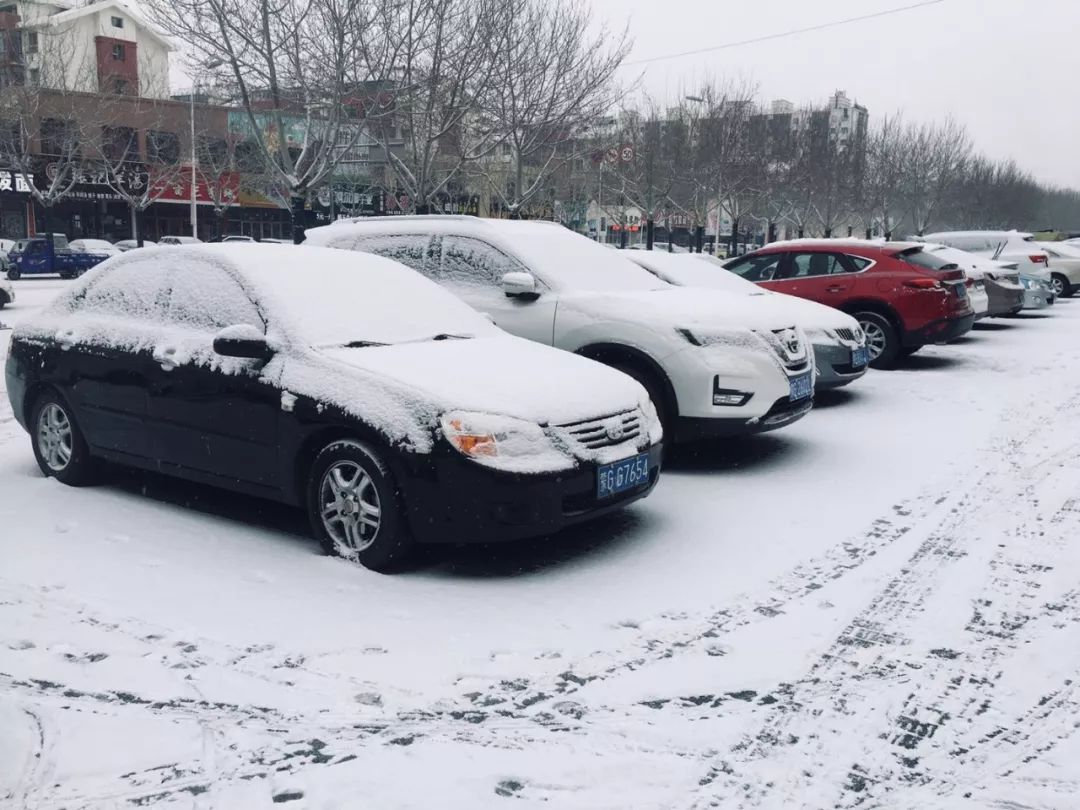 通辽人盼望的这场雪终于来了