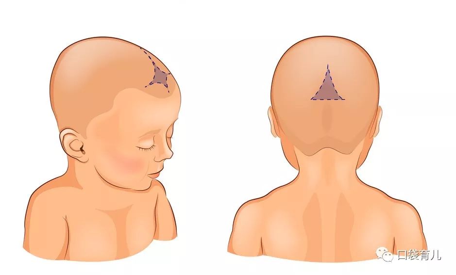 关于宝宝囟门你最需要知道这4件事