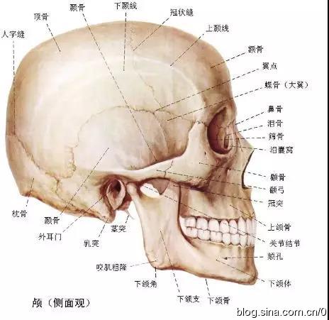 淮安|淮安助听器：案例解析|骨纤维异常增殖症对听力的影响