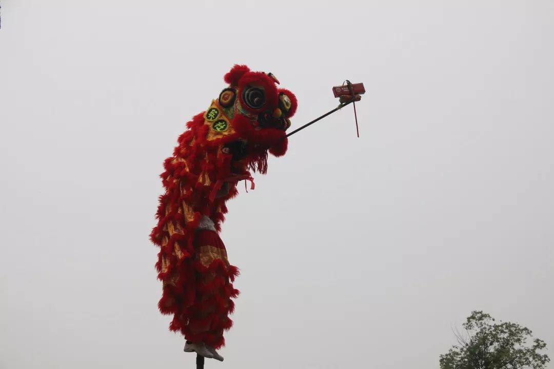 广东舞狮采青图片