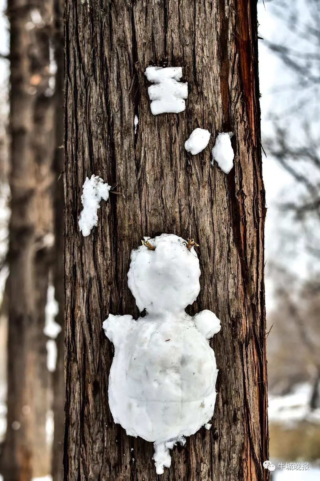 达活泉雪雕小动物上树?谁干的,太有才了