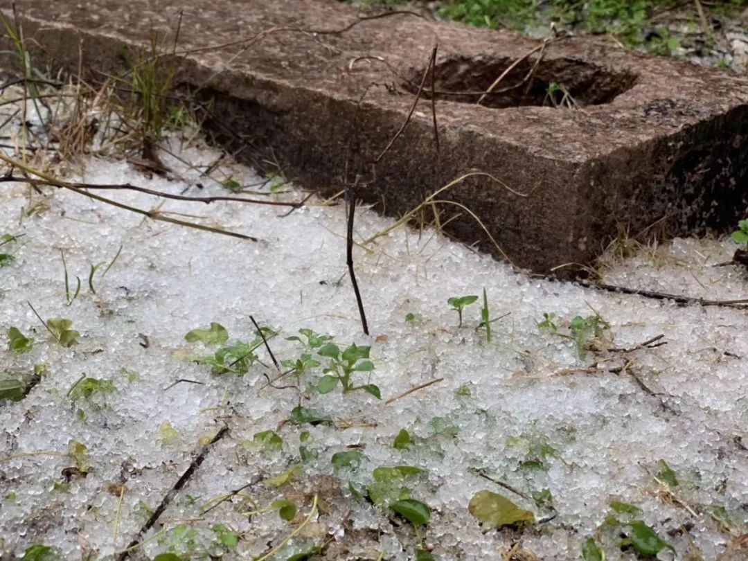 市區下雪?雨夾雪?雪子?雨?我們待的是同個寧波?今冬日照時數破紀錄,接