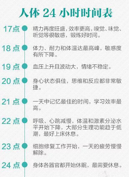 24小时休息表,打乱生物钟,全身都是伤