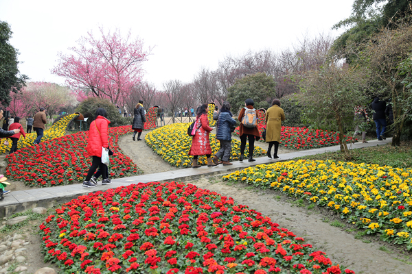 成都植物園春來早賞花時正好