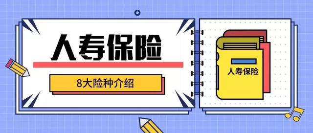 人壽保險可以被劃分成:風險保障型人壽保險和投資理財型人壽保險2個大