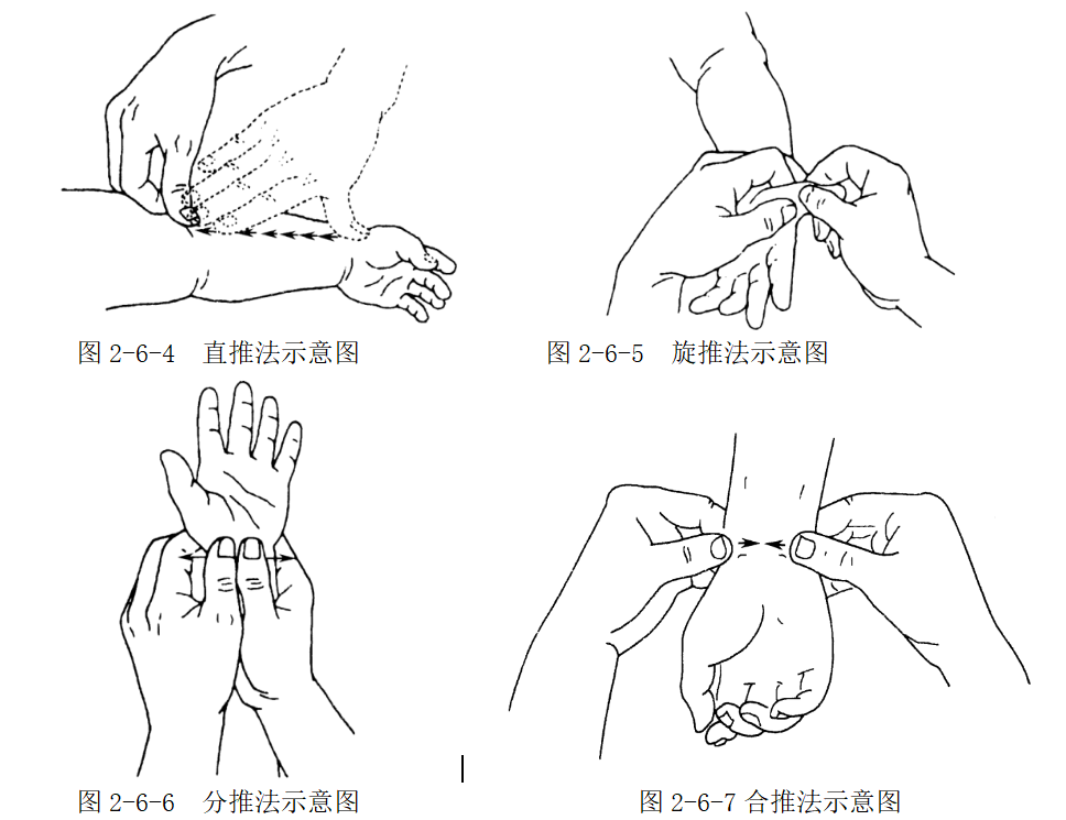 合推法术者用双手拇指螺纹面或掌面紧贴在体表上