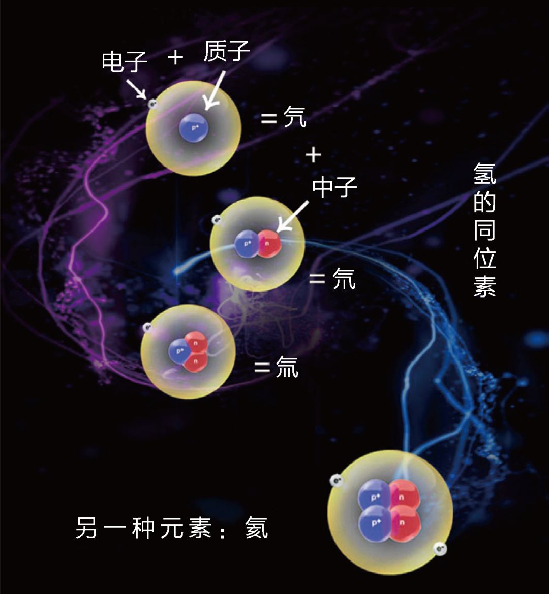 质子内部图片