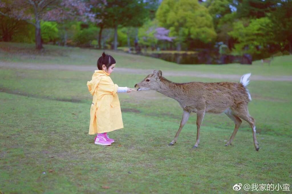 吃货小蛮长大了的图片图片