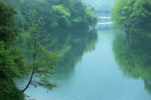 好雨知時節,元宵乃發生_雨水