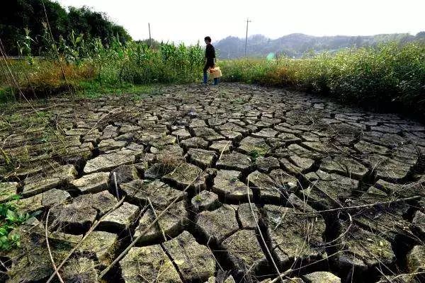 【智慧水利】水土流失治理措施