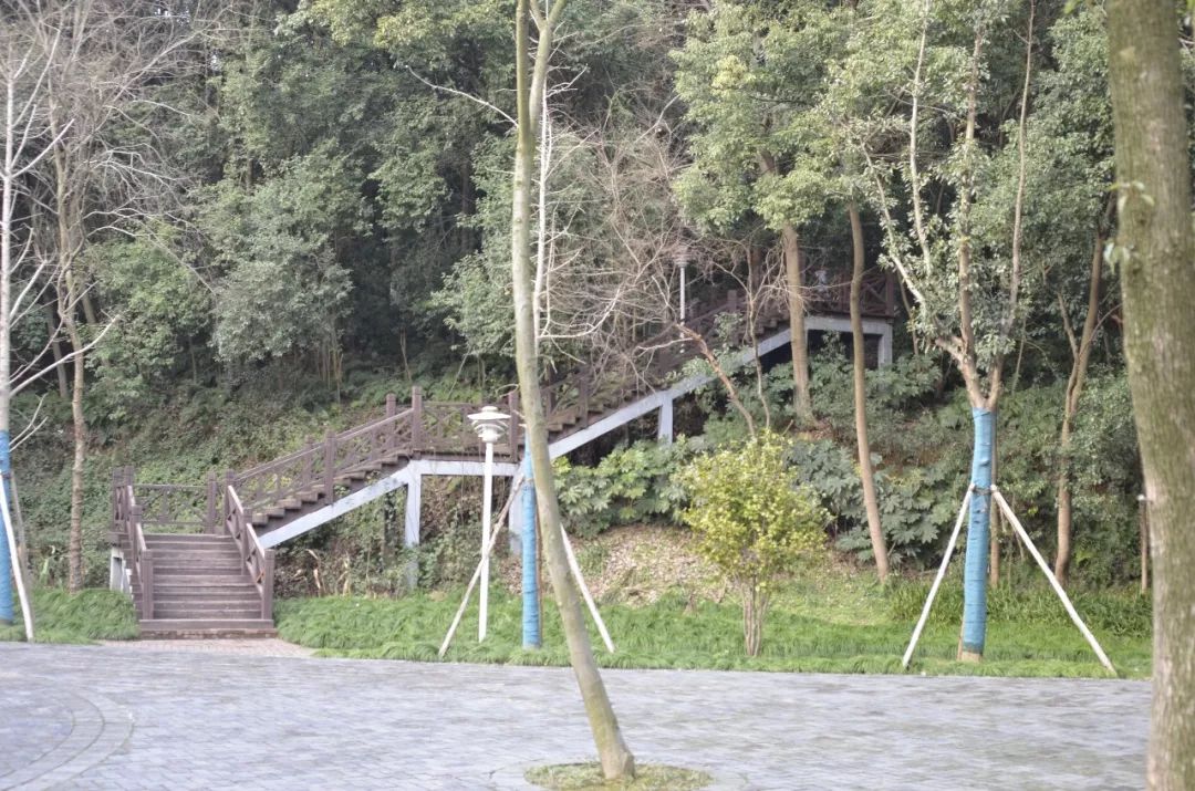 隱藏在我們身邊的小驚喜岳陽金鶚山公園