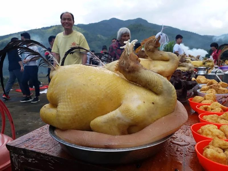 广西拜神鸡图片