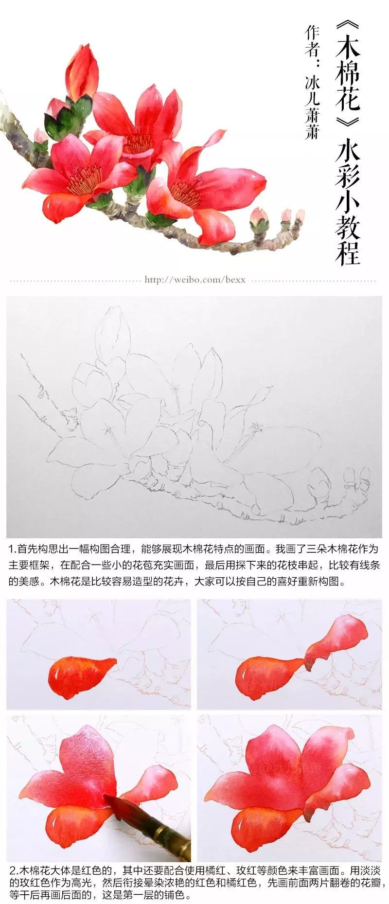 木棉花怎么画 步骤图片