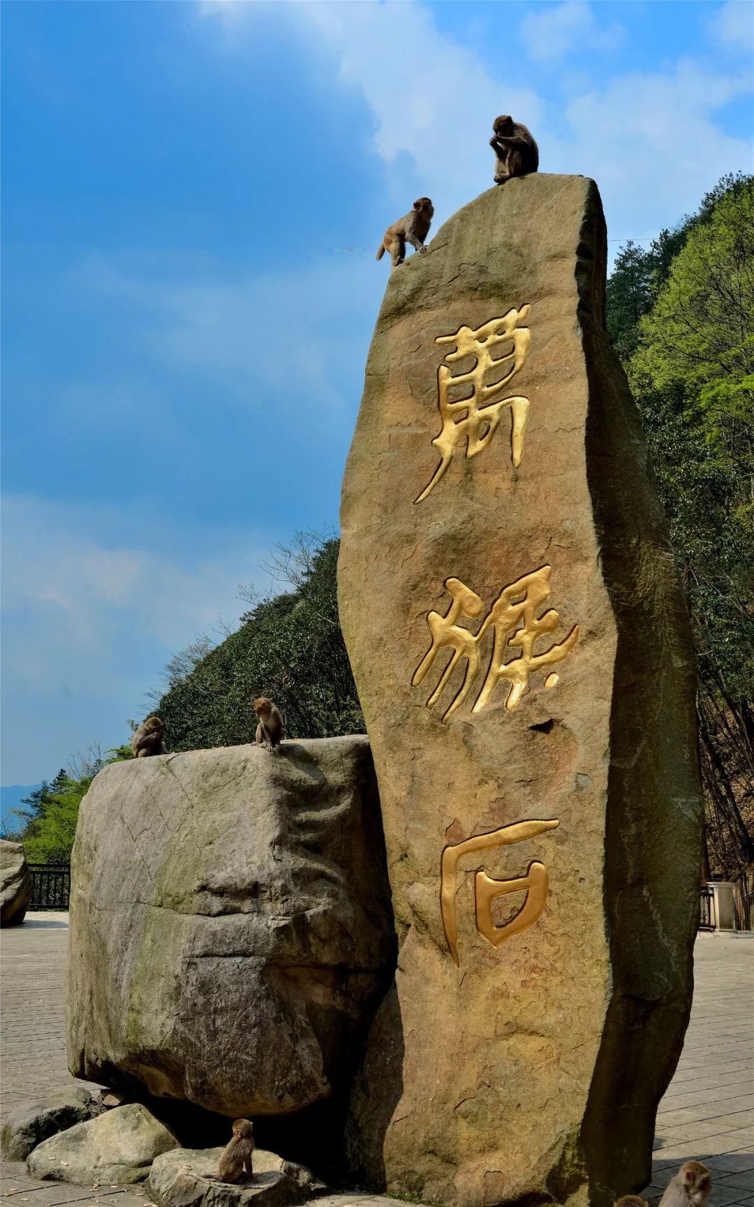 文成温州猴王谷景区图片