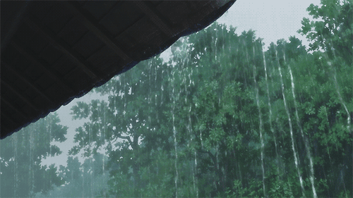 雨水节气动态图片