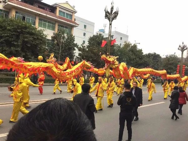 乡镇的花车及队伍富顺三元塔山秋林高堰金鼓忠孝柳池万安跃进所有人