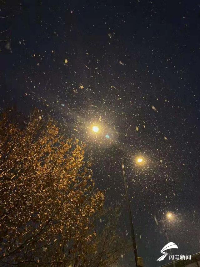 鹅毛大雪深夜"光顾"济南 浪漫美景刷爆朋友圈