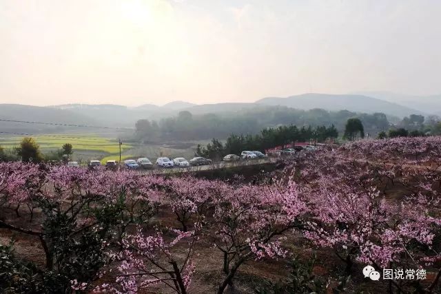 常德十二位花仙子即將粉墨登場看看是誰家的