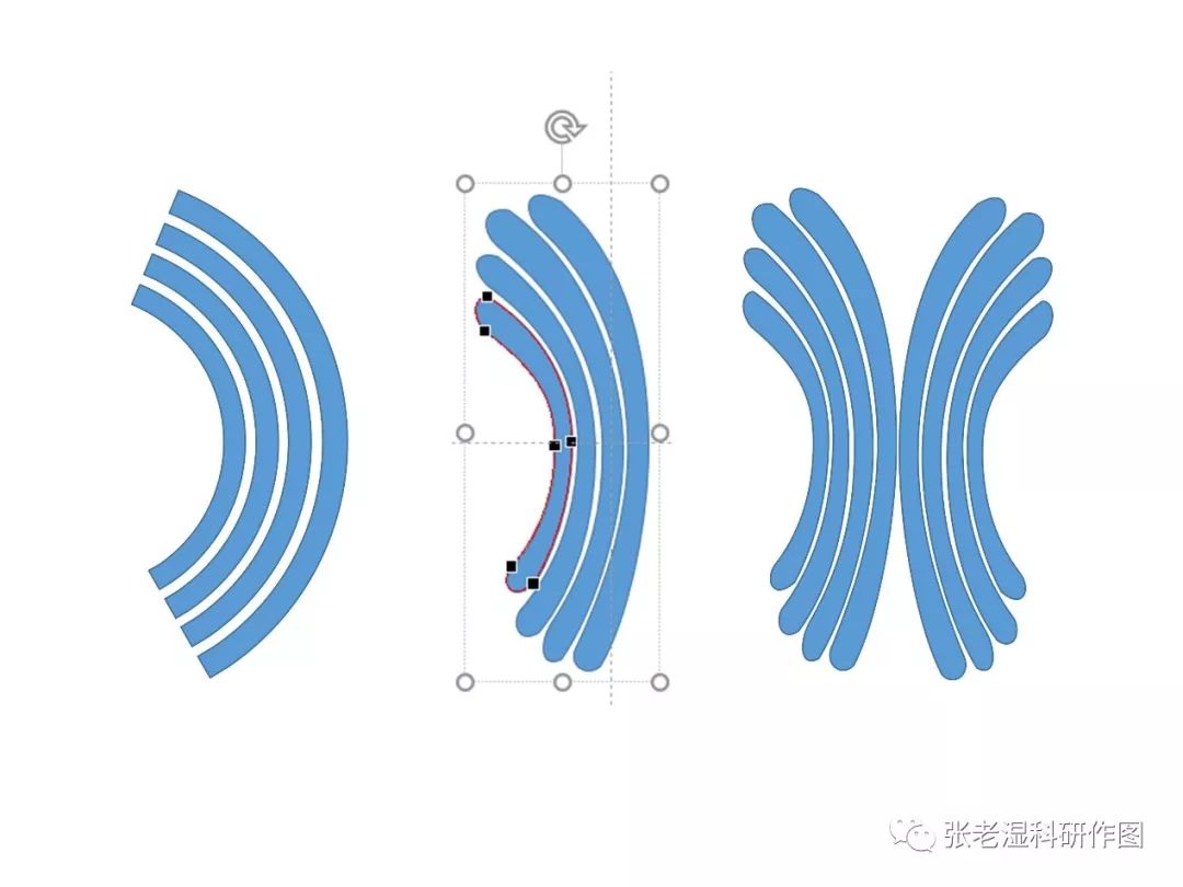 高尔基体怎么画图片