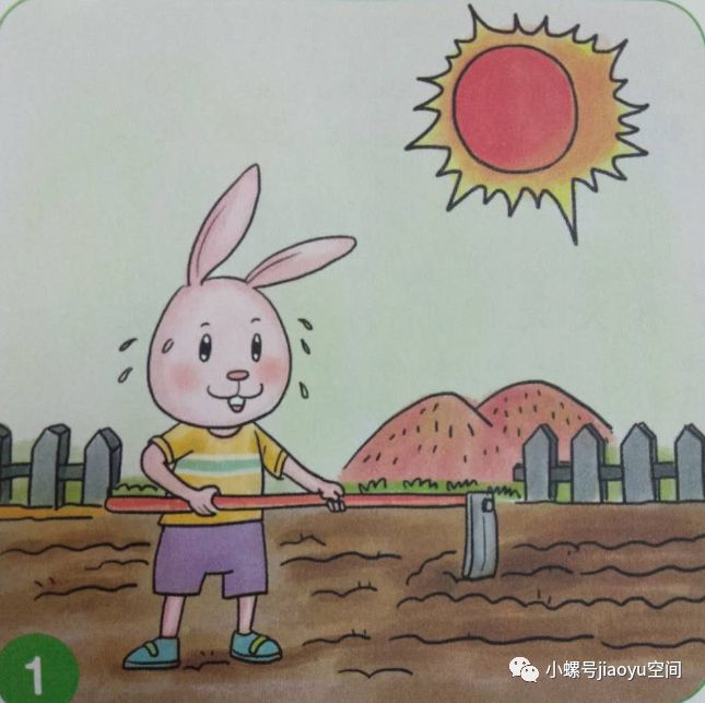 小兔子种白菜看图写话图片