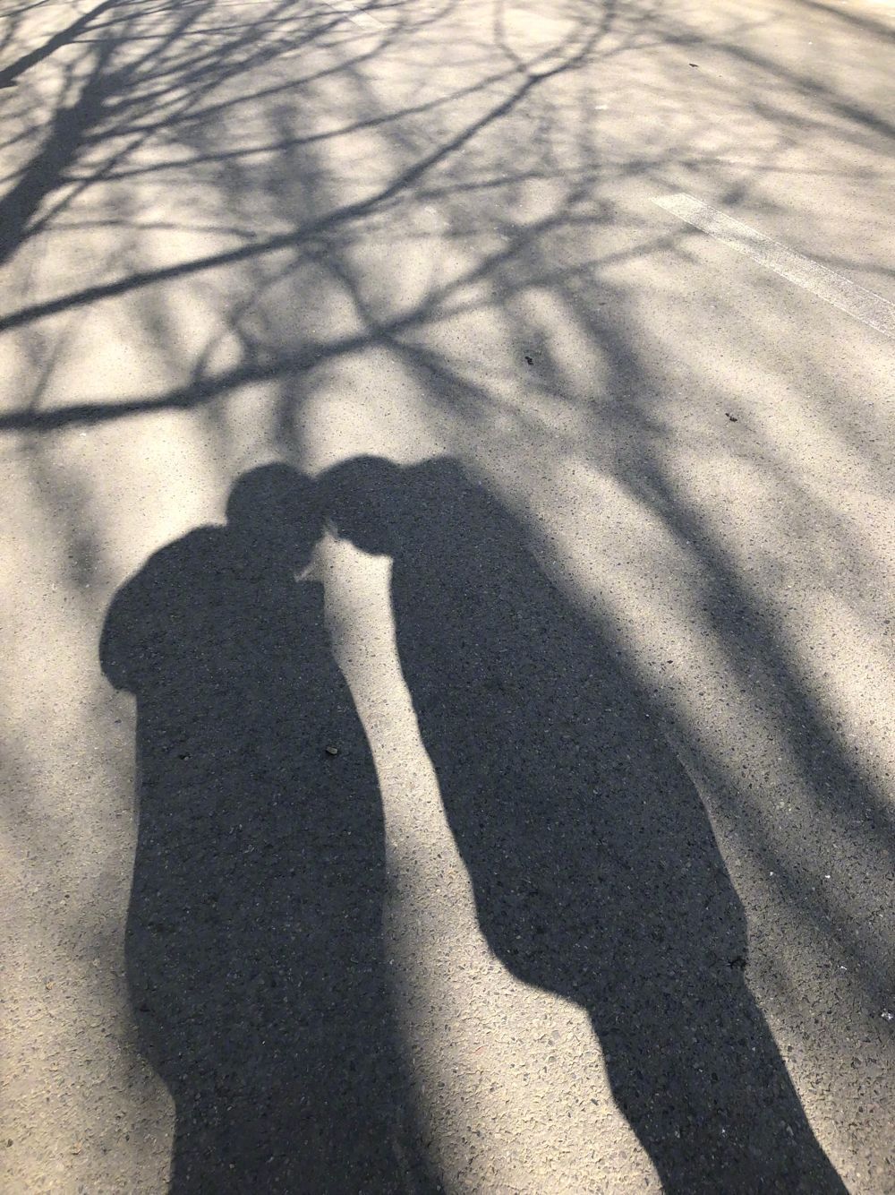 第三张照片是两人在树下牵手,阳光下的影子很美好