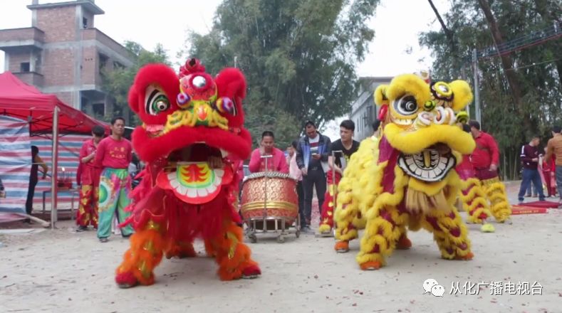 非遺鬧新春鰲頭醒獅獅子出洞睡佛取靈芝