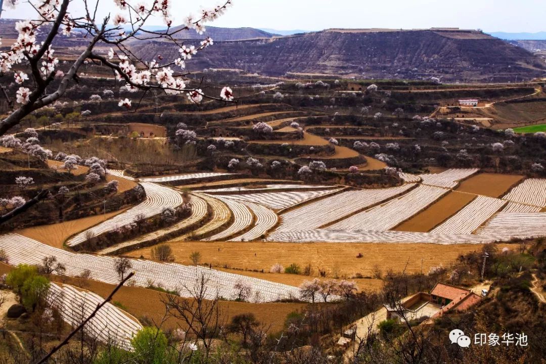 華池縣最全的旅遊攻略