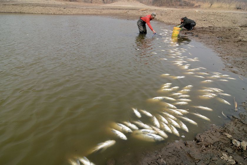 缺氧时鱼口不开食欲不振,严重时会浮头,应该怎么应对才能上鱼