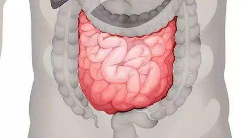 紀教授說醫慢性腹痛腹瀉警惕克羅恩病