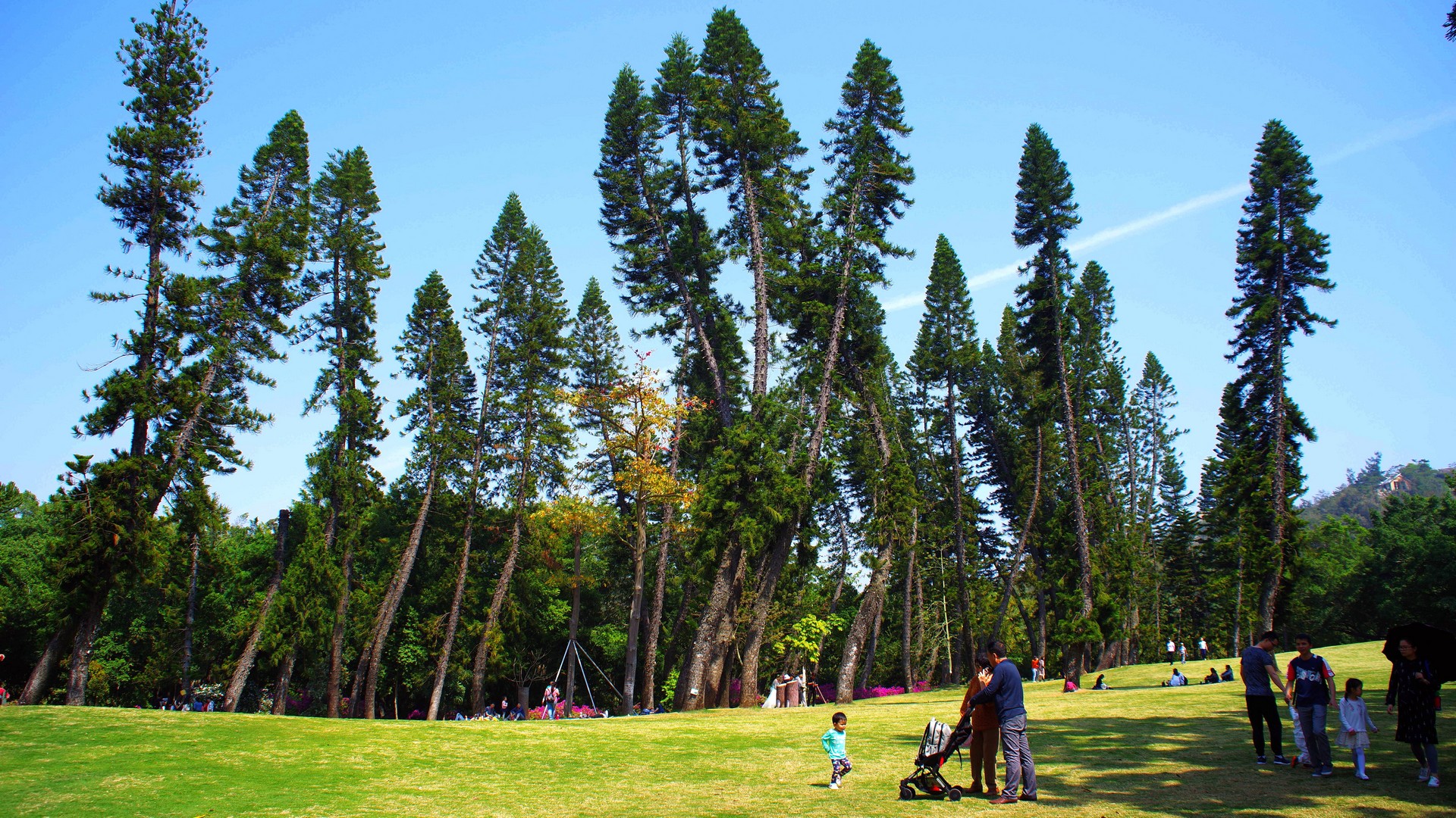 廈門園林植物園行走廈門