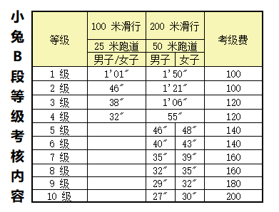 自由式轮滑动作等级表图片