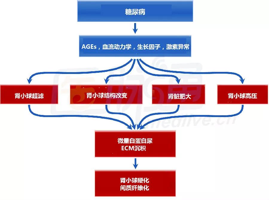 糖尿病腎病管理各類降糖藥物的優缺點知多少