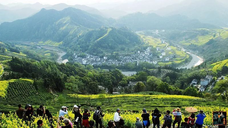 雲遊天下31517號週末油菜花季皖南行文昌古道陽產土樓新安江山水畫廊