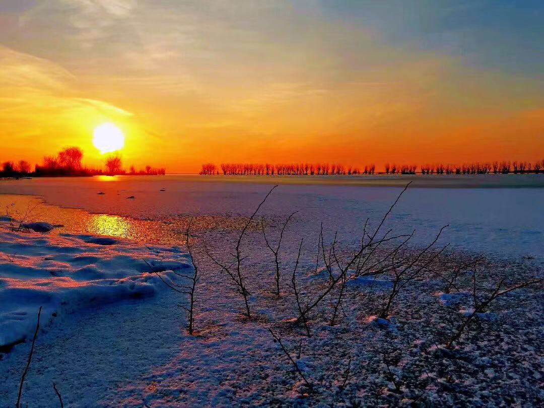 冬天的衡水湖景色图片