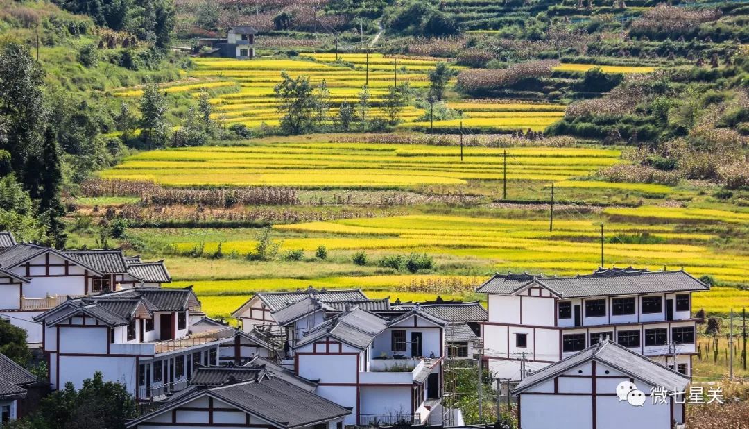 林口镇大塘村,年丰村,高峰村,青场镇粮都村,大山村,田坝镇茨朗村,大屯